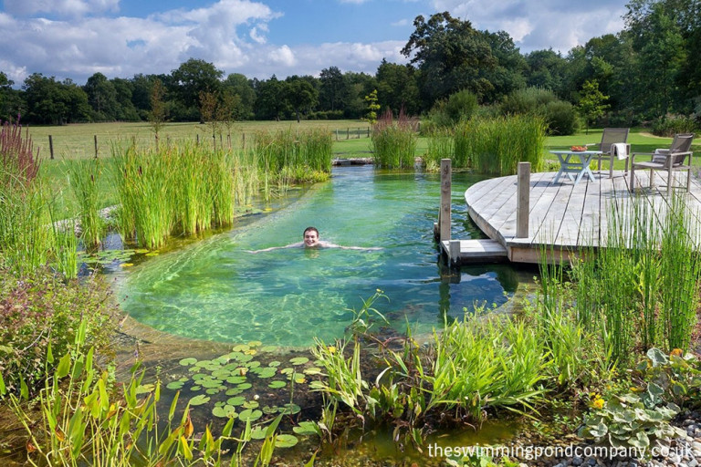 Hình 5 Hồ bơi sinh thái ©https://www.theswimmingpondcompany.co.uk/